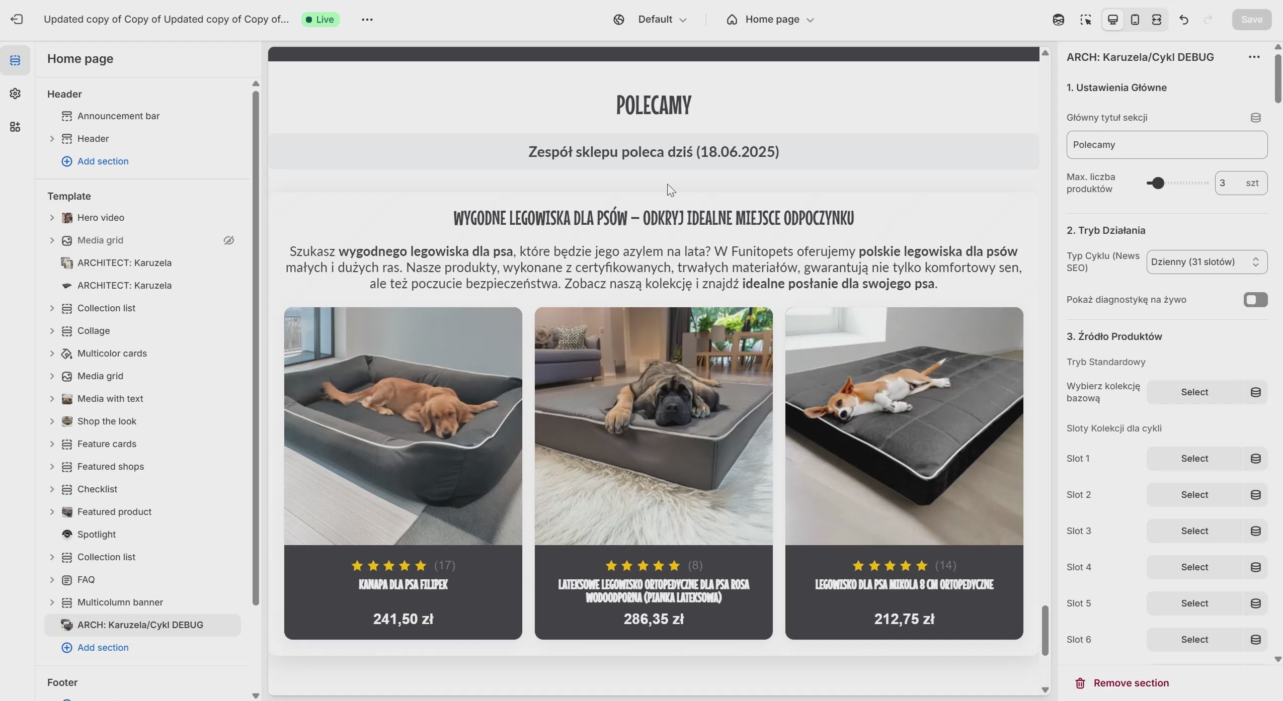 Sekcja "Arche SEO": Dynamiczny Konstruktor Treści dla Shopify