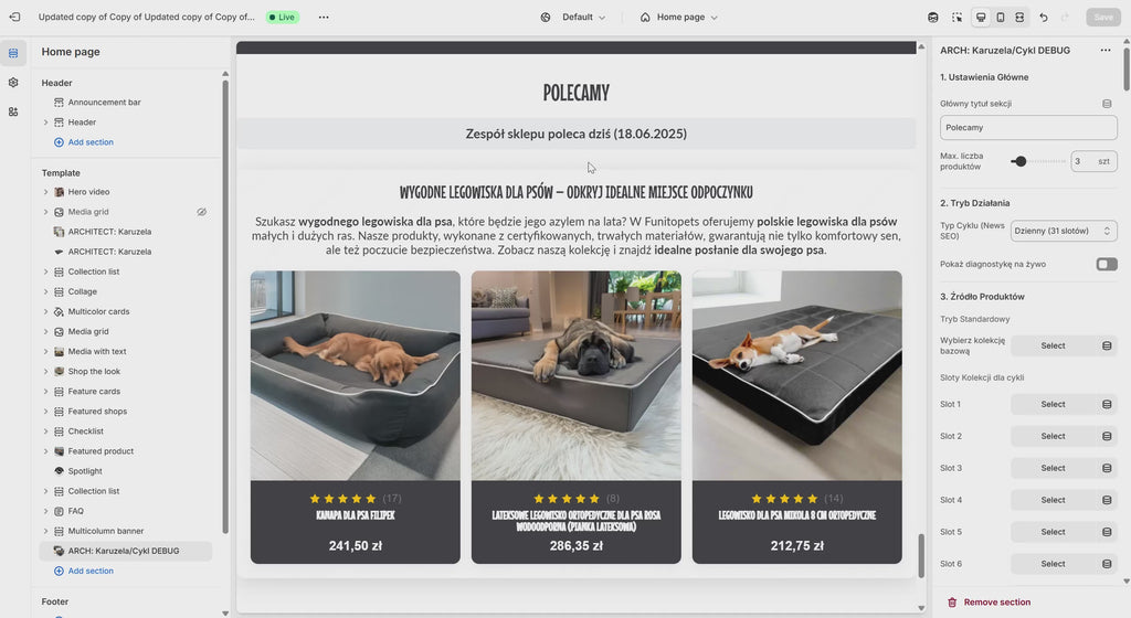 Sekcja "Arche SEO": Dynamiczny Konstruktor Treści dla Shopify